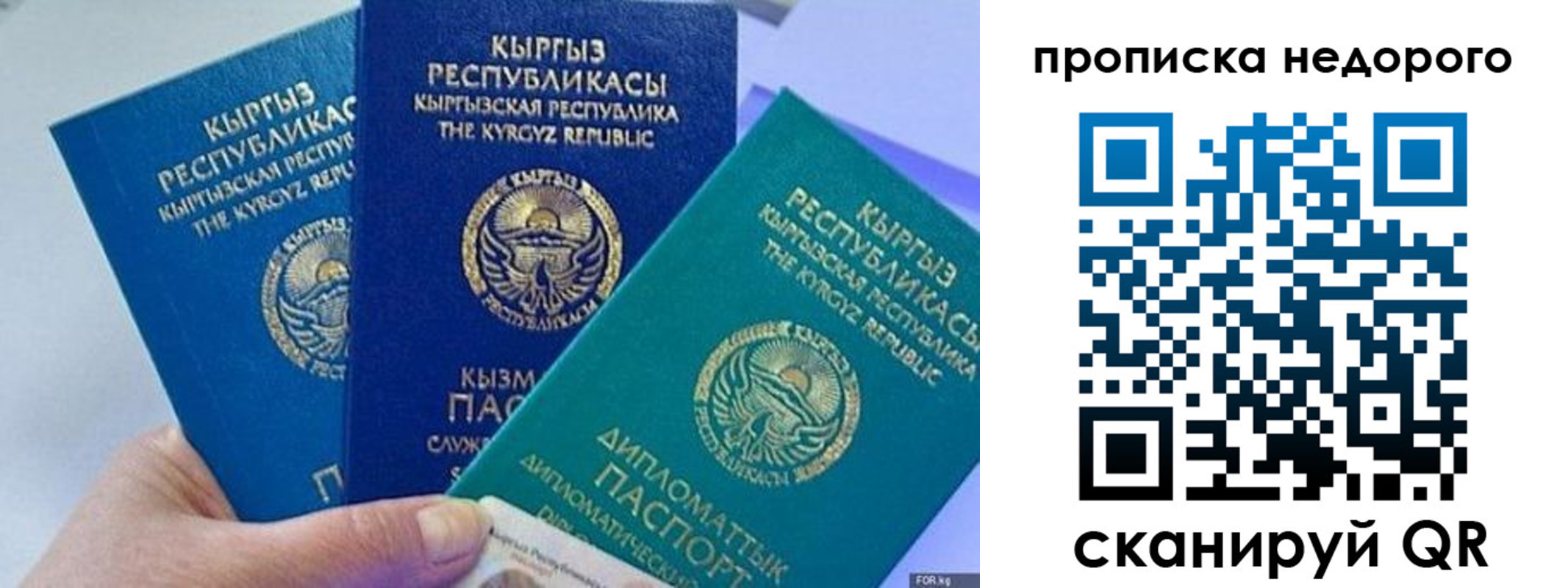 временная регистрация адрес в Краснодаре